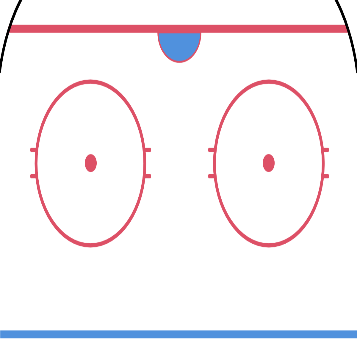 Rink Image